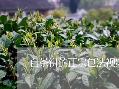 白茶饼的正宗包法视频/2023100751584