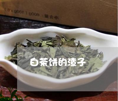 白茶饼的渣子/2023052221828