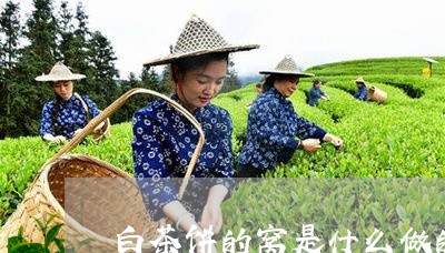 白茶饼的窝是什么做的/2023100733815