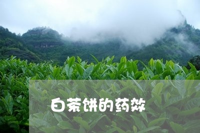 白茶饼的药效/2023052217371