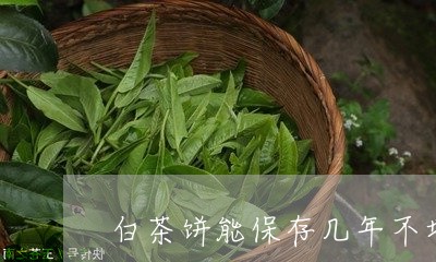 白茶饼能保存几年不坏/2023100728270