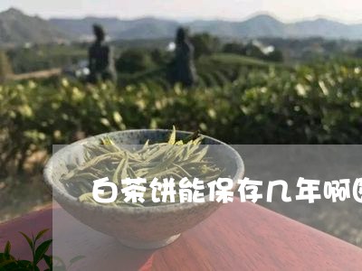 白茶饼能保存几年啊图片/2023111712504