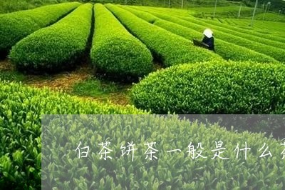 白茶饼茶一般是什么茶/2023100780626