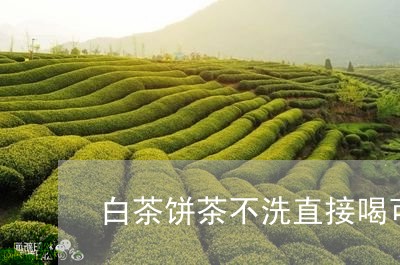 白茶饼茶不洗直接喝可以吗/2023110812517