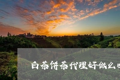 白茶饼茶代理好做么吗/2023100731715