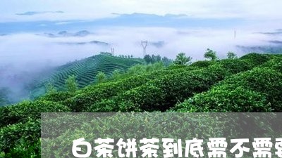 白茶饼茶到底需不需要密封/2023110827260