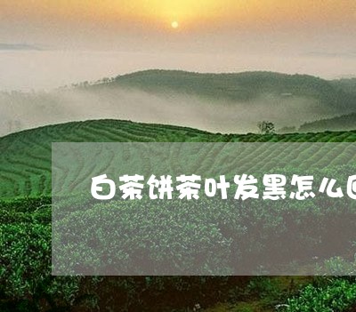 白茶饼茶叶发黑怎么回事/2023103190481