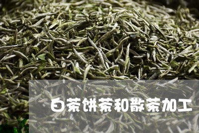 白茶饼茶和散茶加工/2023082425062