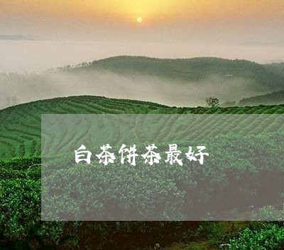 白茶饼茶最好/2023052270362