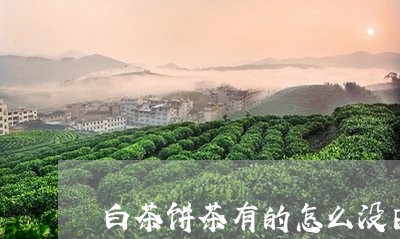 白茶饼茶有的怎么没日期茶/2023110878381