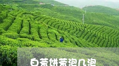 白茶饼茶泡几泡/2023082438414