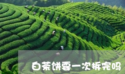 白茶饼要一次拆完吗/2023082434159