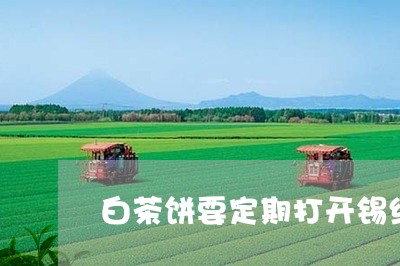 白茶饼要定期打开锡纸袋吗/2023110861515