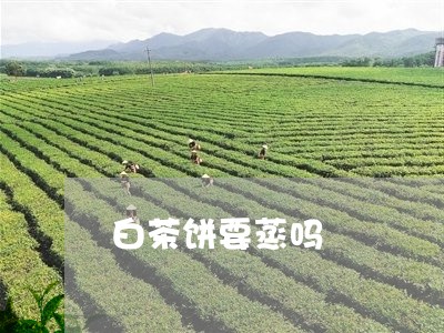 白茶饼要蒸吗/2023052244157