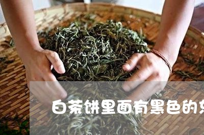 白茶饼里面有黑色的东西/2023103148270