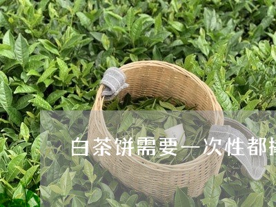 白茶饼需要一次性都撬开吗/2023110708161