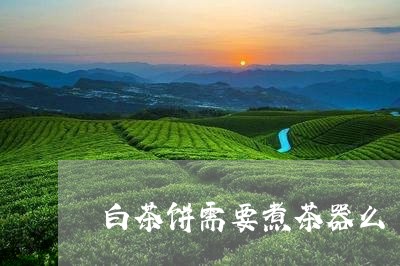 白茶饼需要煮茶器么/2023082437362