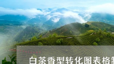 白茶香型转化图表格制作/2023103107373