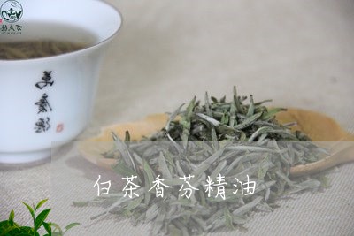 白茶香芬精油/2023073185260