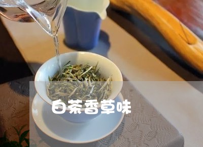 白茶香草味/2023051094169