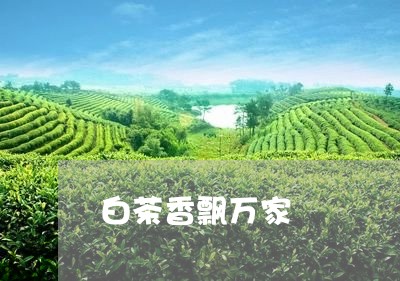 白茶香飘万家/2023052155139