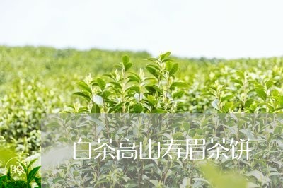 白茶高山寿眉茶饼/2023090886968