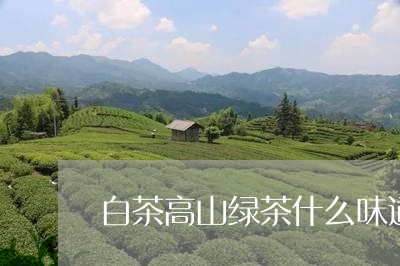 白茶高山绿茶什么味道好喝/2023110787260