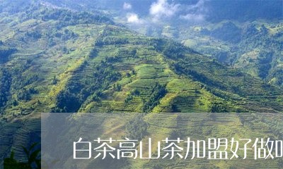 白茶高山茶加盟好做吗/2023100724724