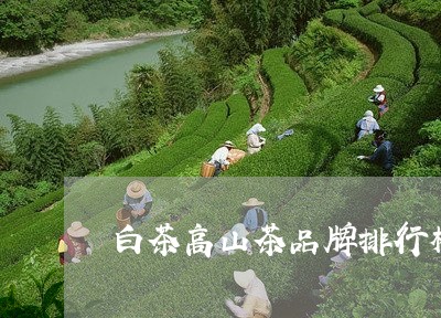 白茶高山茶品牌排行榜/2023100790493