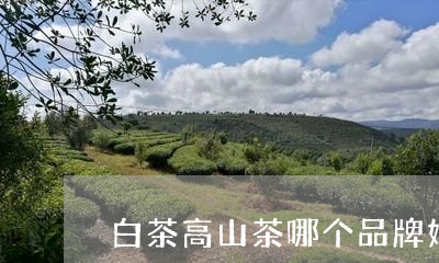 白茶高山茶哪个品牌好一点/2023110789676