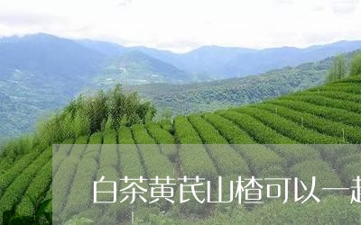 白茶黄芪山楂可以一起泡吗/2023110719472