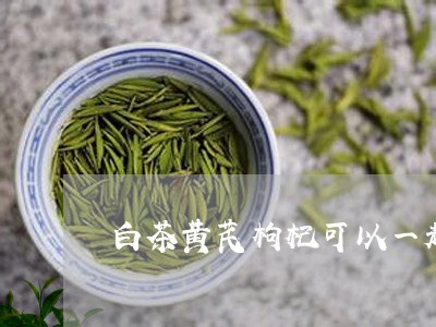 白茶黄芪枸杞可以一起泡吗/2023110780708