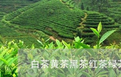 白茶黄茶黑茶红茶绿茶区别/2023110760362