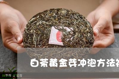 白茶黄金芽冲泡方法视频/2023110159383