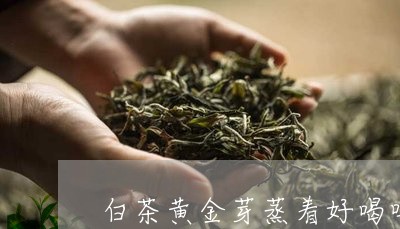 白茶黄金芽蒸着好喝吗/2023100728581