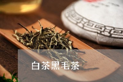 白茶黑毛茶/2023051092983