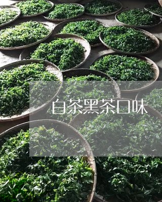 白茶黑茶口味/2023052151605