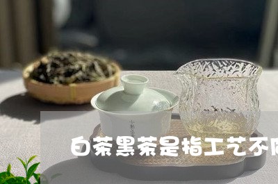 白茶黑茶是指工艺不同还是/2023110833715