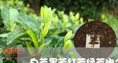 白茶黑茶红茶绿茶哪个贵/2023110110682