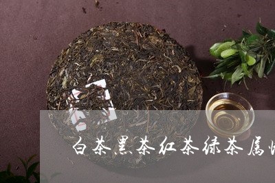 白茶黑茶红茶绿茶属性/2023100744938