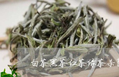 白茶黑茶红茶绿茶杀菌解毒/2023110898472