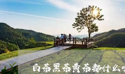 白茶黑茶黄茶都什么味道/2023110190715