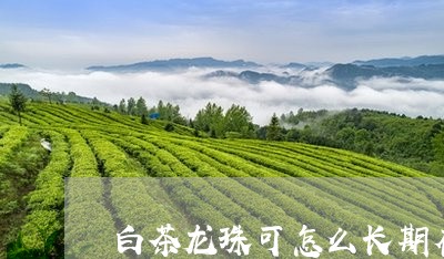 白茶龙珠可怎么长期存放吗/2023110828618