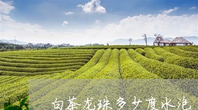 白茶龙珠多少度水泡/2023082488482