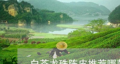 白茶龙珠陈皮推荐哪款好喝/2023111588241