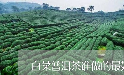 白菜普洱茶谁做的最好喝/2023121845269