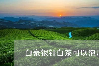 白豪银针白茶可以泡几泡/2023110189363