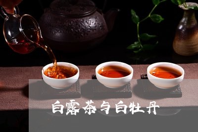 白露茶与白牡丹/2023112395958