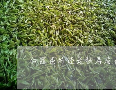 白露茶好还是秋寿眉茶好/2023092405940