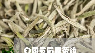 白露贡眉属茶砖/2023112599179